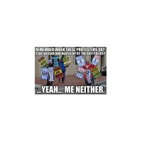 ME NEITHER.jpg